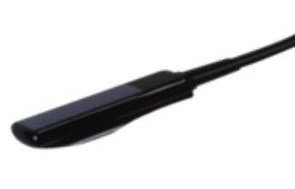 55L60G Rectal Linear Probe