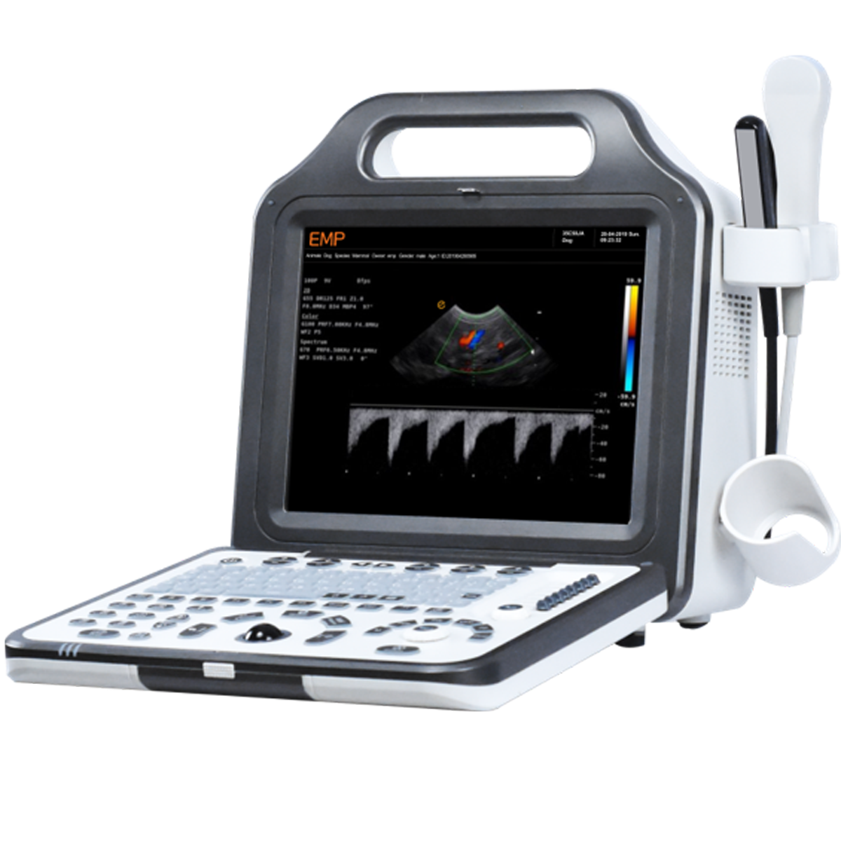 G20vet with Tranceducers