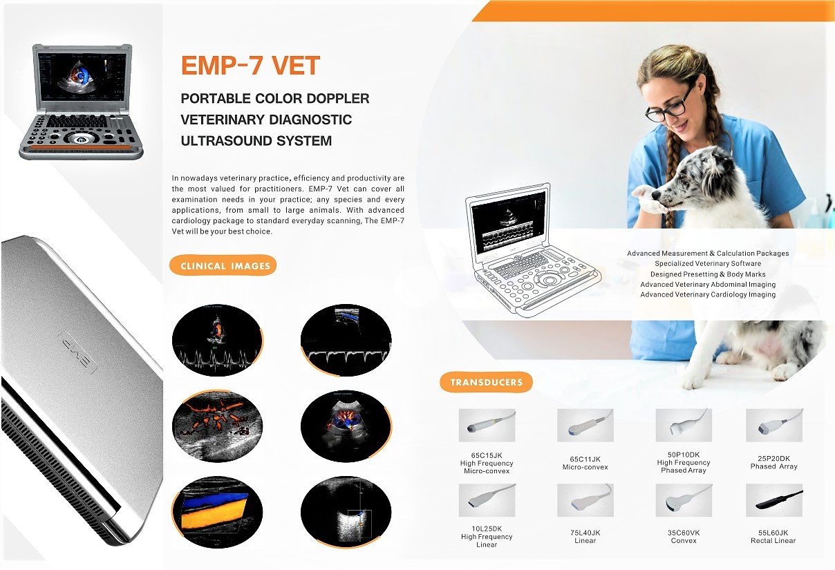 VET EMP 7 Cardiac Color Doppler Highly professional Ultrasound machine