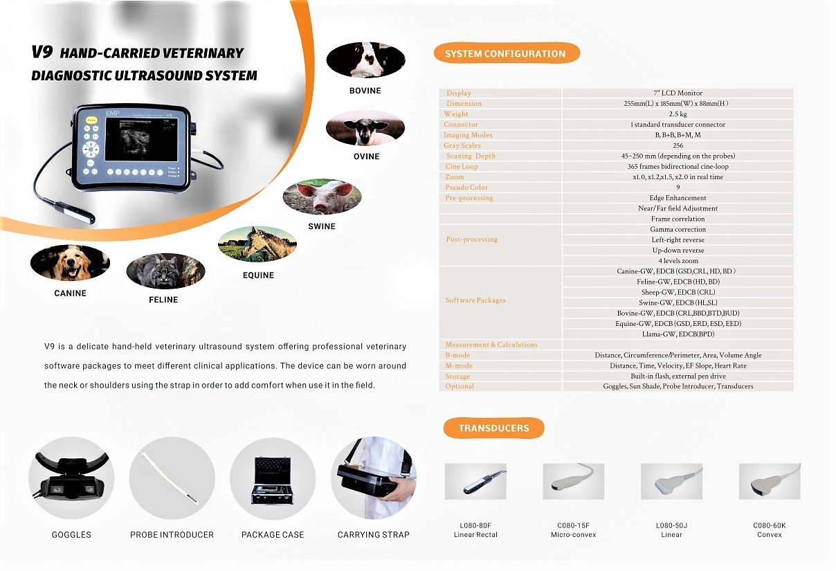VET EMP V9 highly professional Ultrasound machine