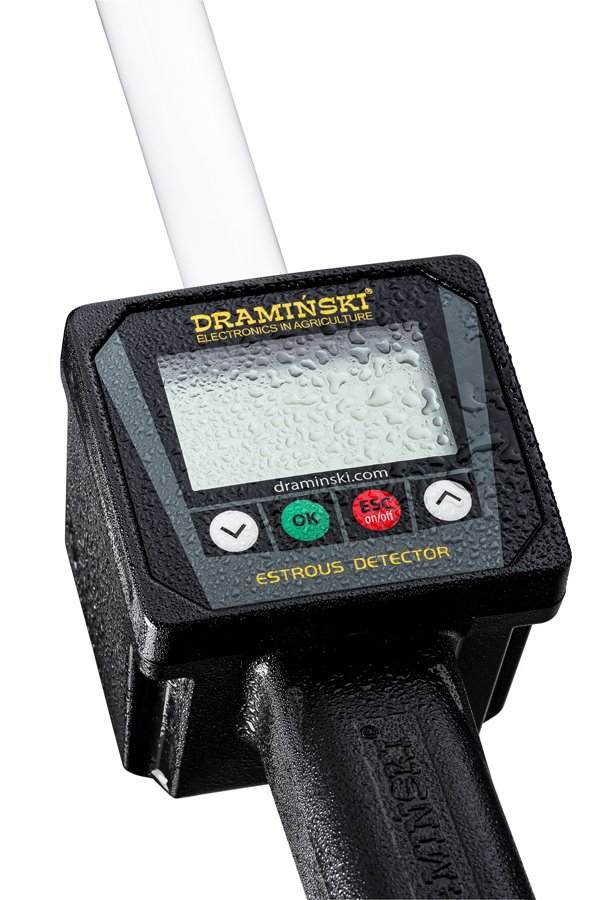 best-time-insemination-the-pigs-with-invisible-estrus