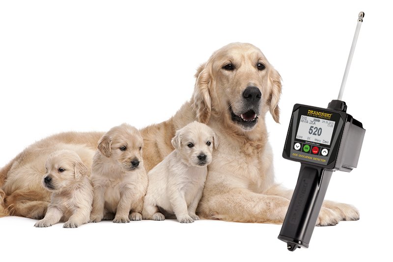 new-dog-ovulation-detector-draminski-dod2